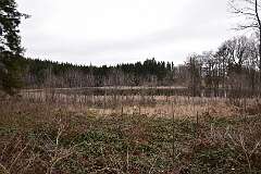 62: DSC_6727