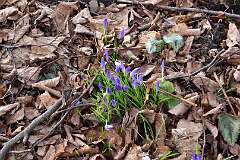 73: DSC_6738
