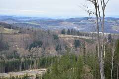 78: DSC_6743