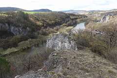 55: RX106011