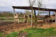 2023_03_27-Zelcin