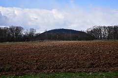 44: DSC_6827