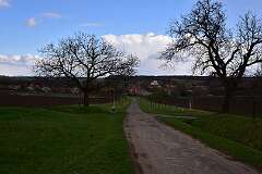 56: DSC_6839