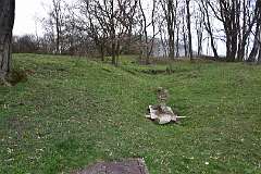 61: DSC_6844