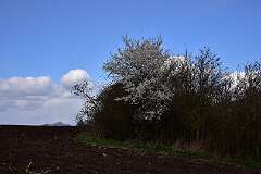62: DSC_6845