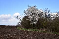 63: DSC_6846