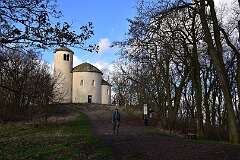91: DSC_6894