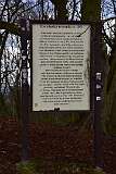 96: DSC_6899