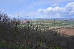 100: DSC_6909