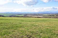 105: DSC_6915