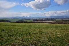 107: DSC_6917