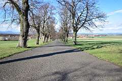 108: DSC_6918