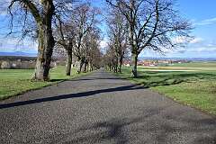 109: DSC_6919