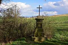 113: DSC_6923