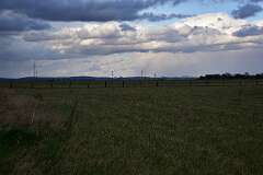 124: DSC_6935