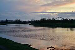 141: DSC_6954