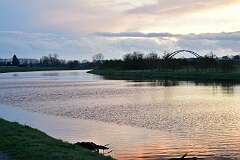 142: DSC_6955
