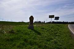 13: DSC_6989