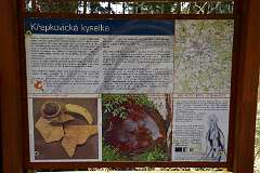 20: DSC_6997