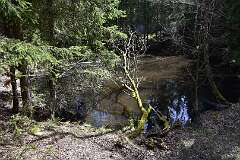 21: DSC_6998