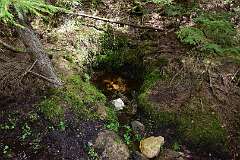 25: DSC_7002