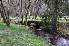34: DSC_7019