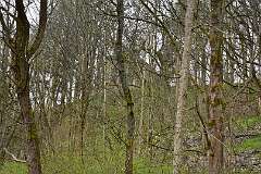 74: DSC_7068