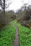 75: DSC_7069