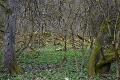 76: DSC_7070