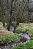 86: DSC_7083