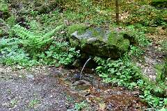 57: DSC_7160