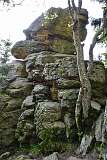 62: DSC_7165
