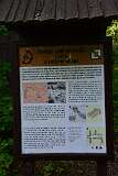 81: DSC_7185