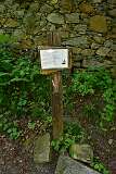 116: DSC_7233
