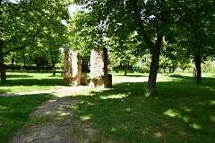 133: DSC_7253