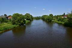 134: DSC_7254
