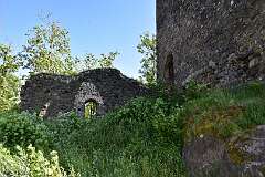 45: DSC_7317