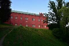 54: DSC_7331
