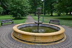 55: DSC_7332