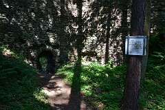 73: DSC_7359