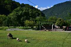 42: DSC_7420
