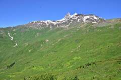 63: DSC_7443