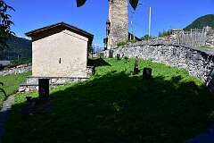 100: DSC_7504