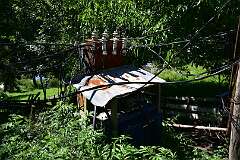 116: DSC_7525