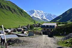 154: DSC_7570