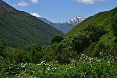 172: DSC_7592