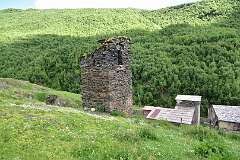 182: DSC_7602