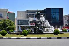 206: DSC_7629