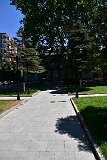 208: DSC_7631