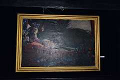 257: DSC_7682
